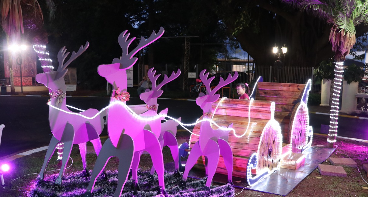 FIM DE SEMANA REPLETO DE ATIVIDADES CULTURAIS ENCERRA NATAL ILUMINADO DO DAAE